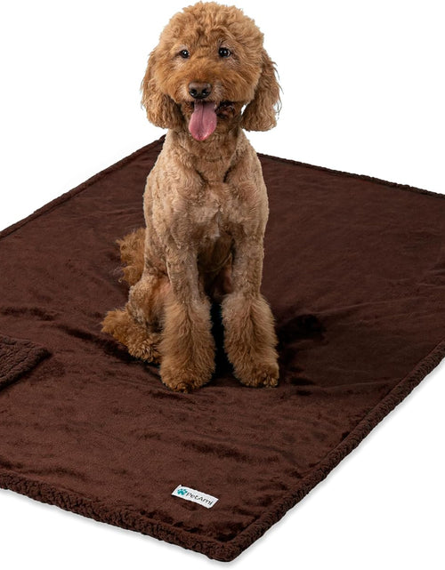Load image into Gallery viewer, Waterproof Dog Blanket for Bed, Couch, Sofa | Waterproof Dog Bed Cover for Large Dogs, Puppies | Sherpa Fleece Pet Blanket Furniture Protector | Reversible Microfiber
