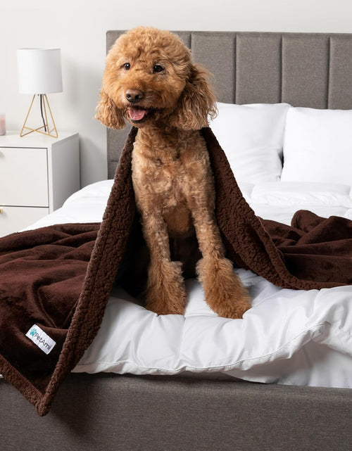 Load image into Gallery viewer, Waterproof Dog Blanket for Bed, Couch, Sofa | Waterproof Dog Bed Cover for Large Dogs, Puppies | Sherpa Fleece Pet Blanket Furniture Protector | Reversible Microfiber
