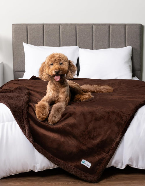 Load image into Gallery viewer, Waterproof Dog Blanket for Bed, Couch, Sofa | Waterproof Dog Bed Cover for Large Dogs, Puppies | Sherpa Fleece Pet Blanket Furniture Protector | Reversible Microfiber
